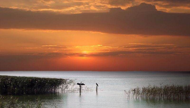одесса ХАДЖИБЕЙ фото превью