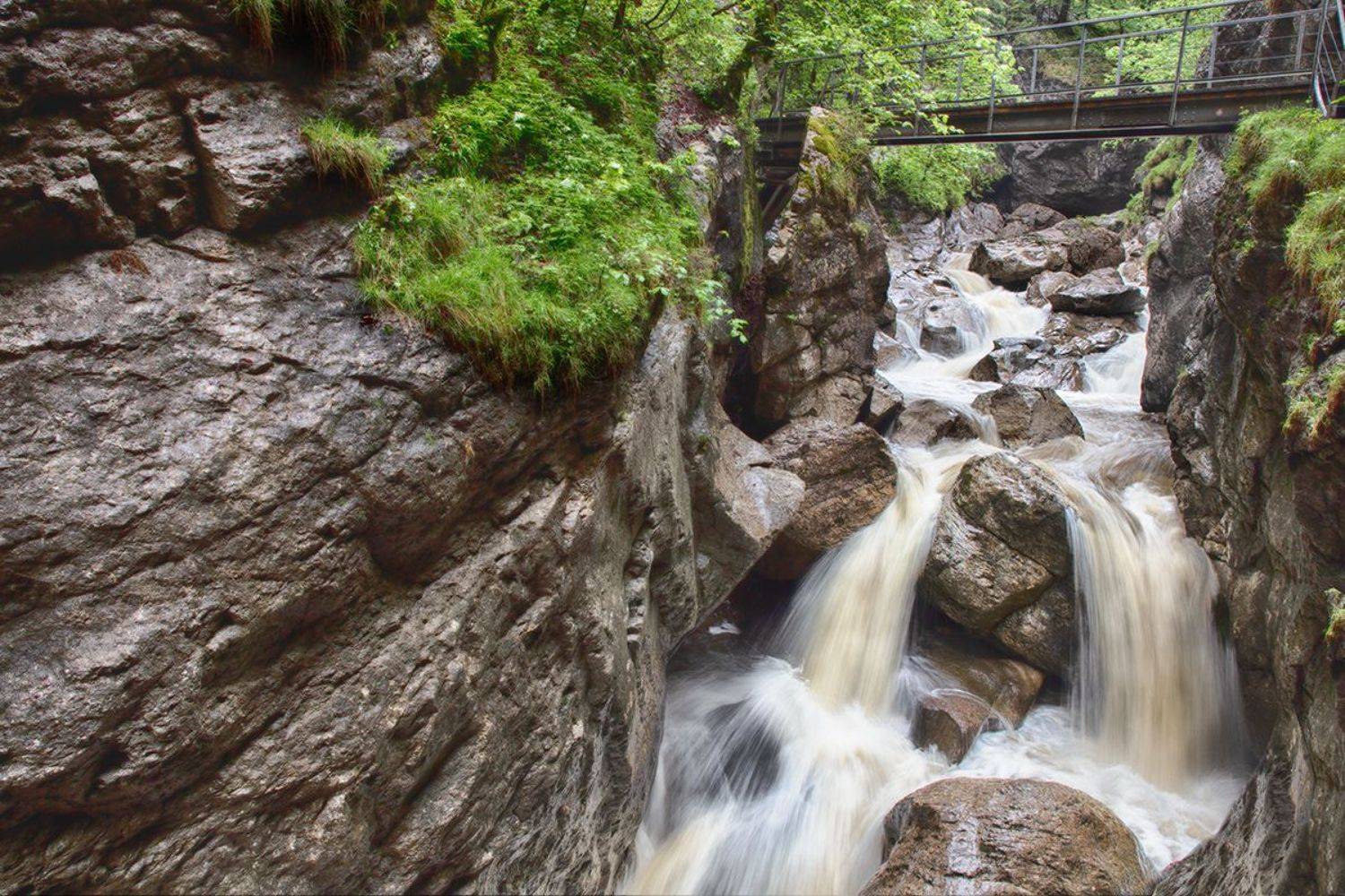 , Игорь Дубровский