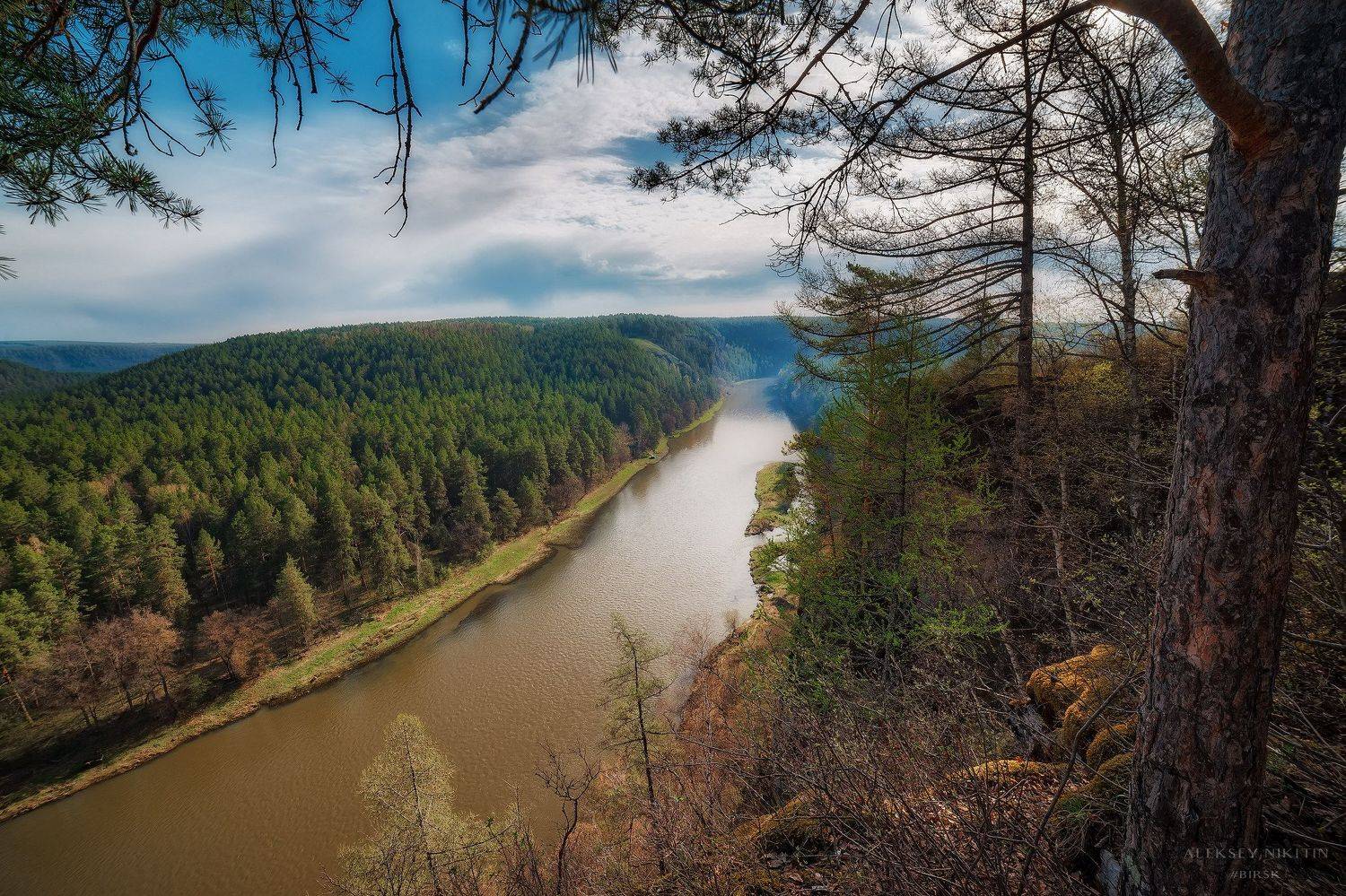 , Никитин Алексей