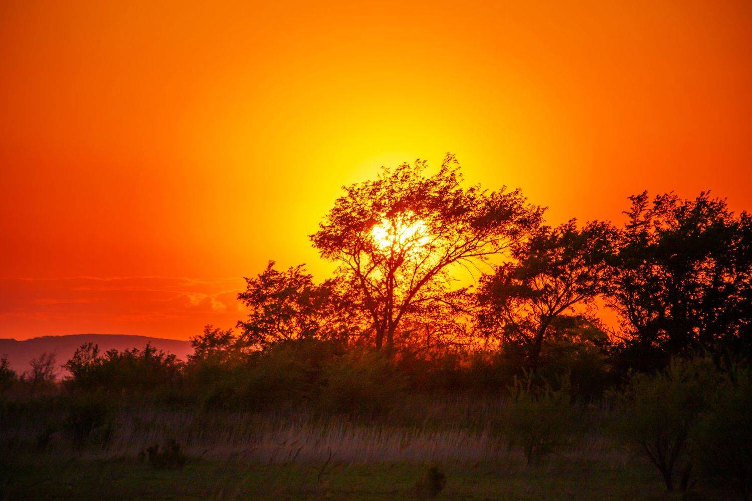 , Сигида Дмитрий