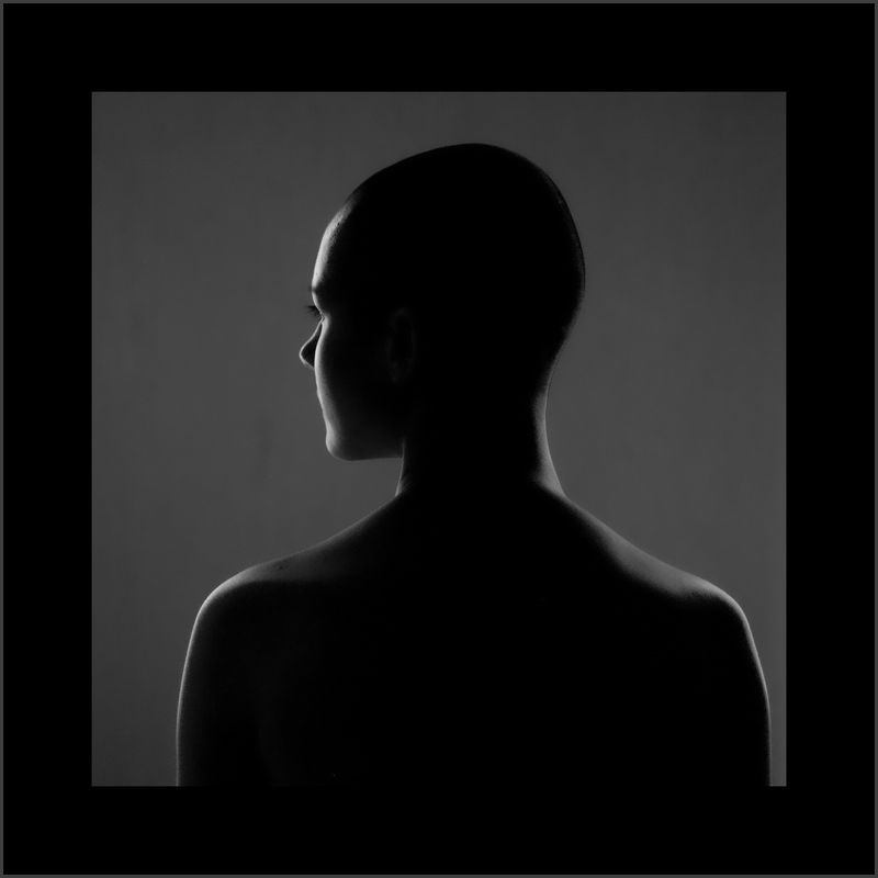 Well фото превью