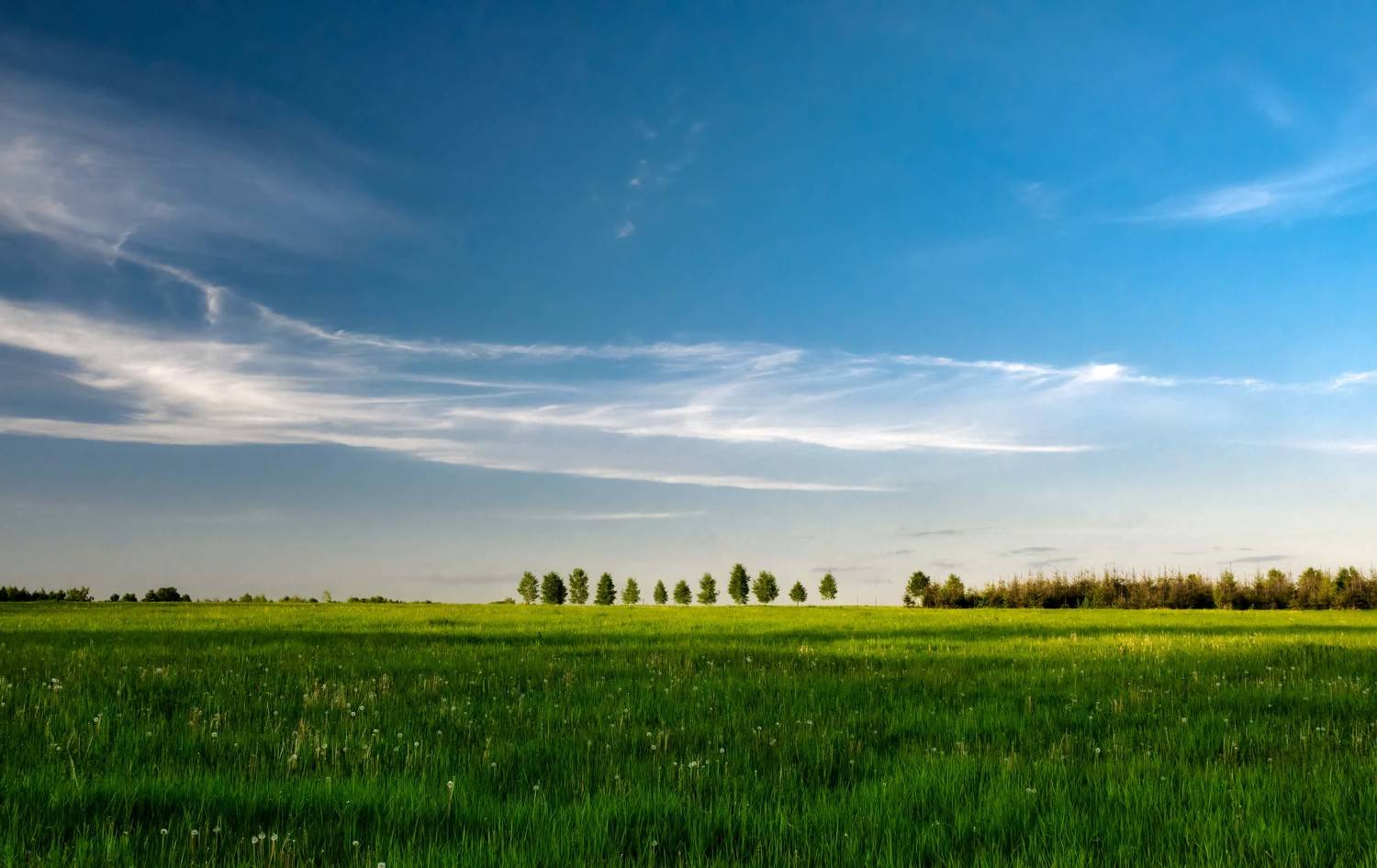 Минимализм, Андрей Лабутин