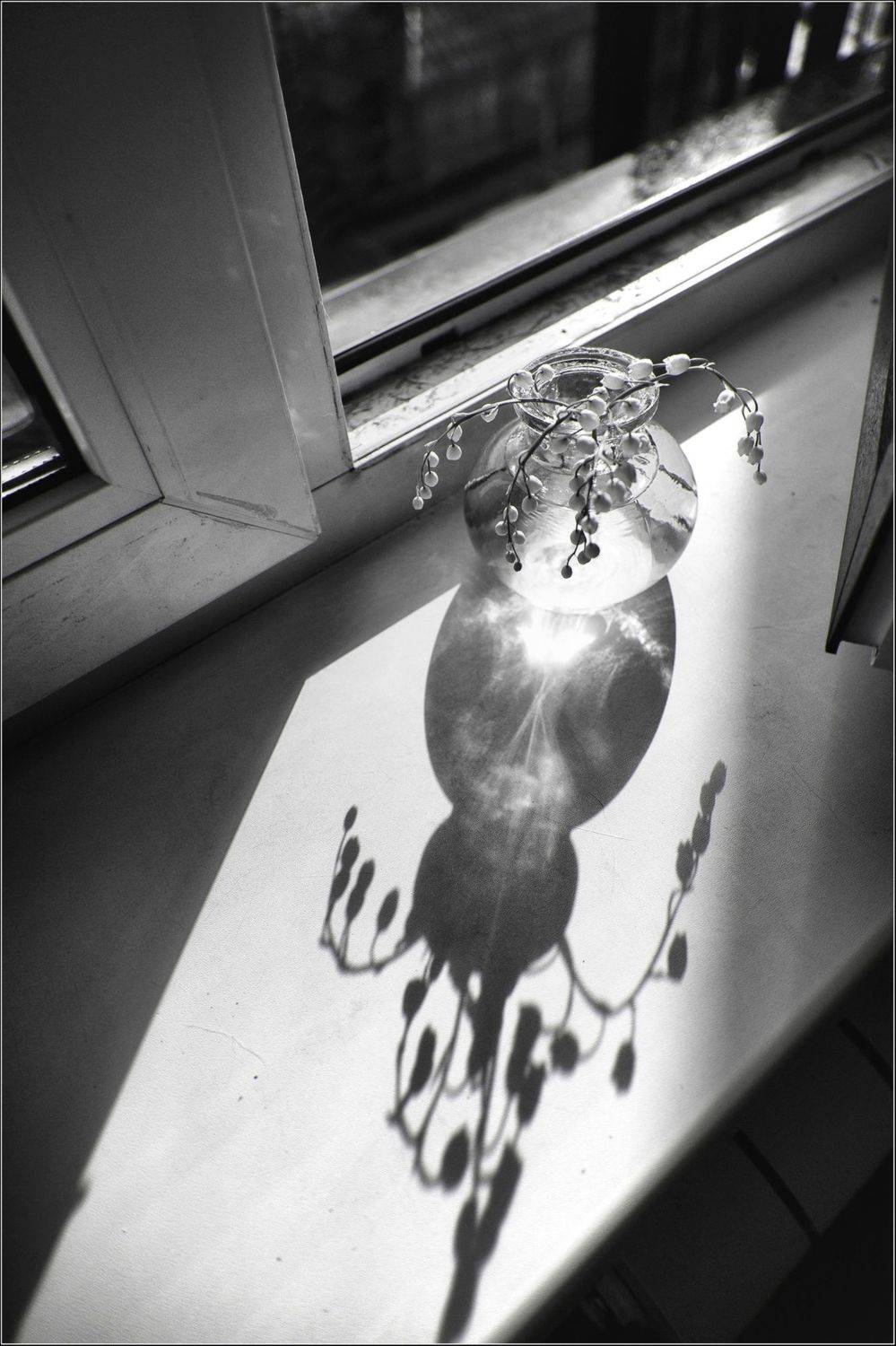 , Дарья Васильева