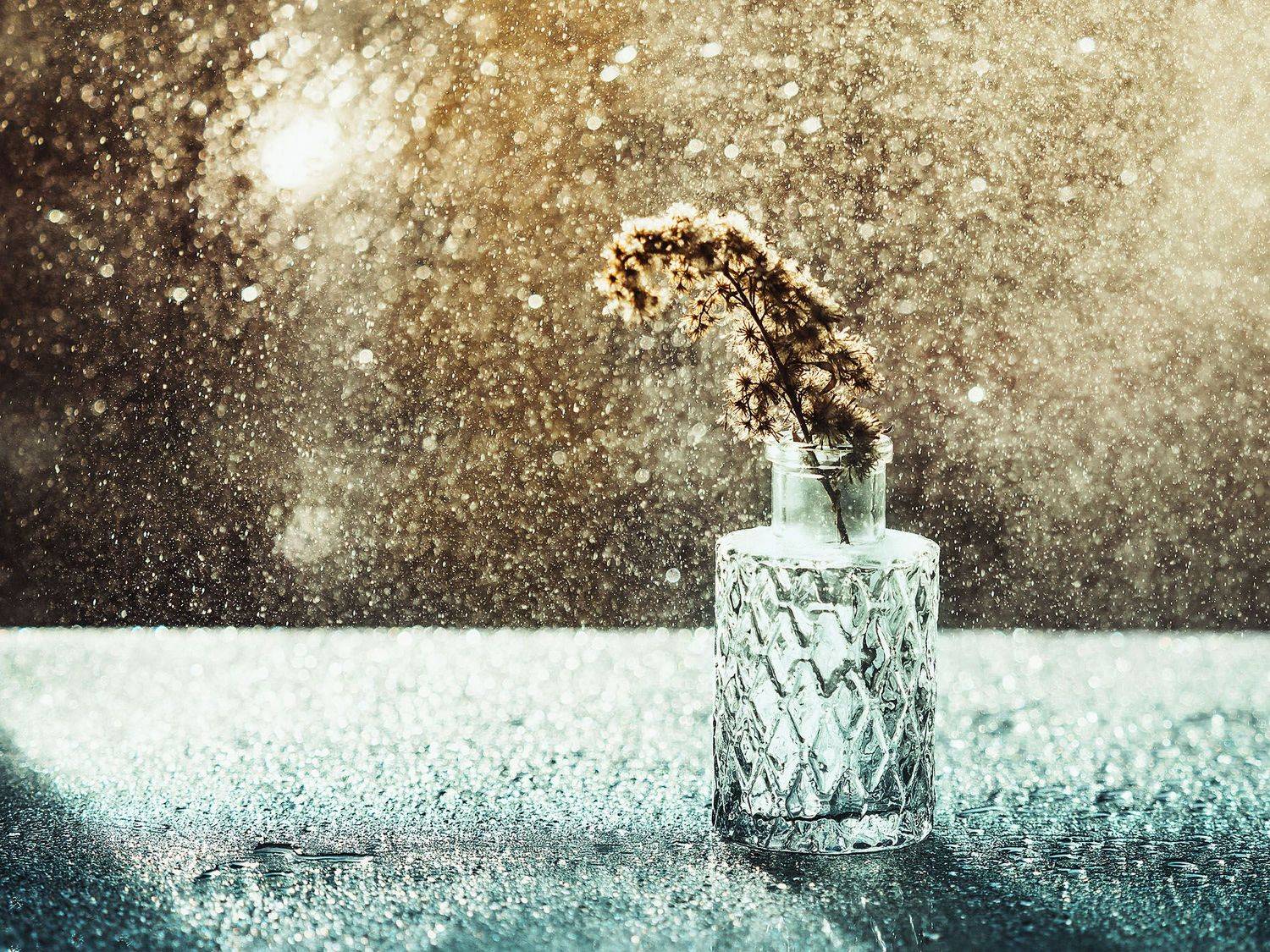 натюрморт, stillife, bokeh, sun, Rogozina Olga