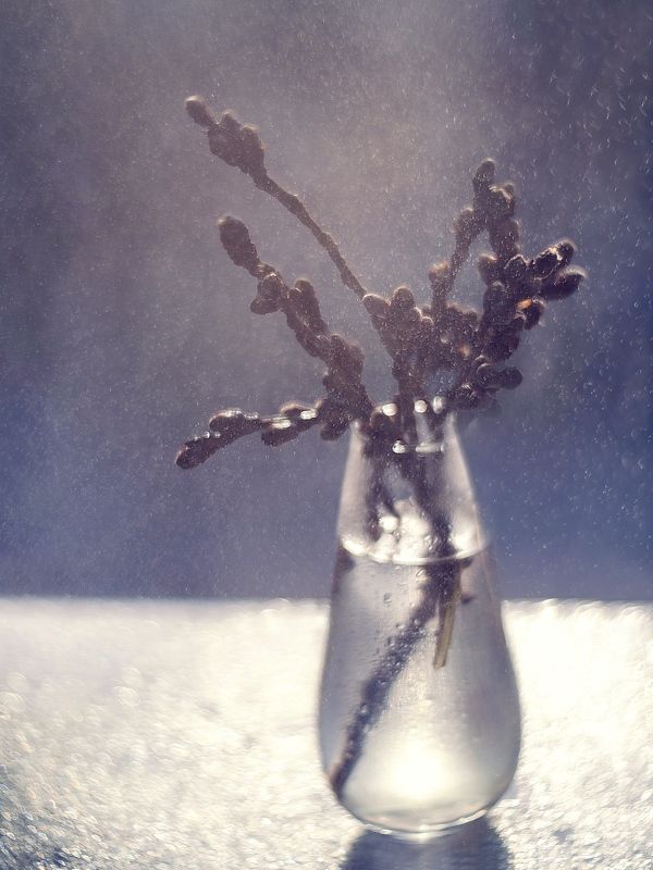 вербное, воскресенье Вербное воскресенье фото превью