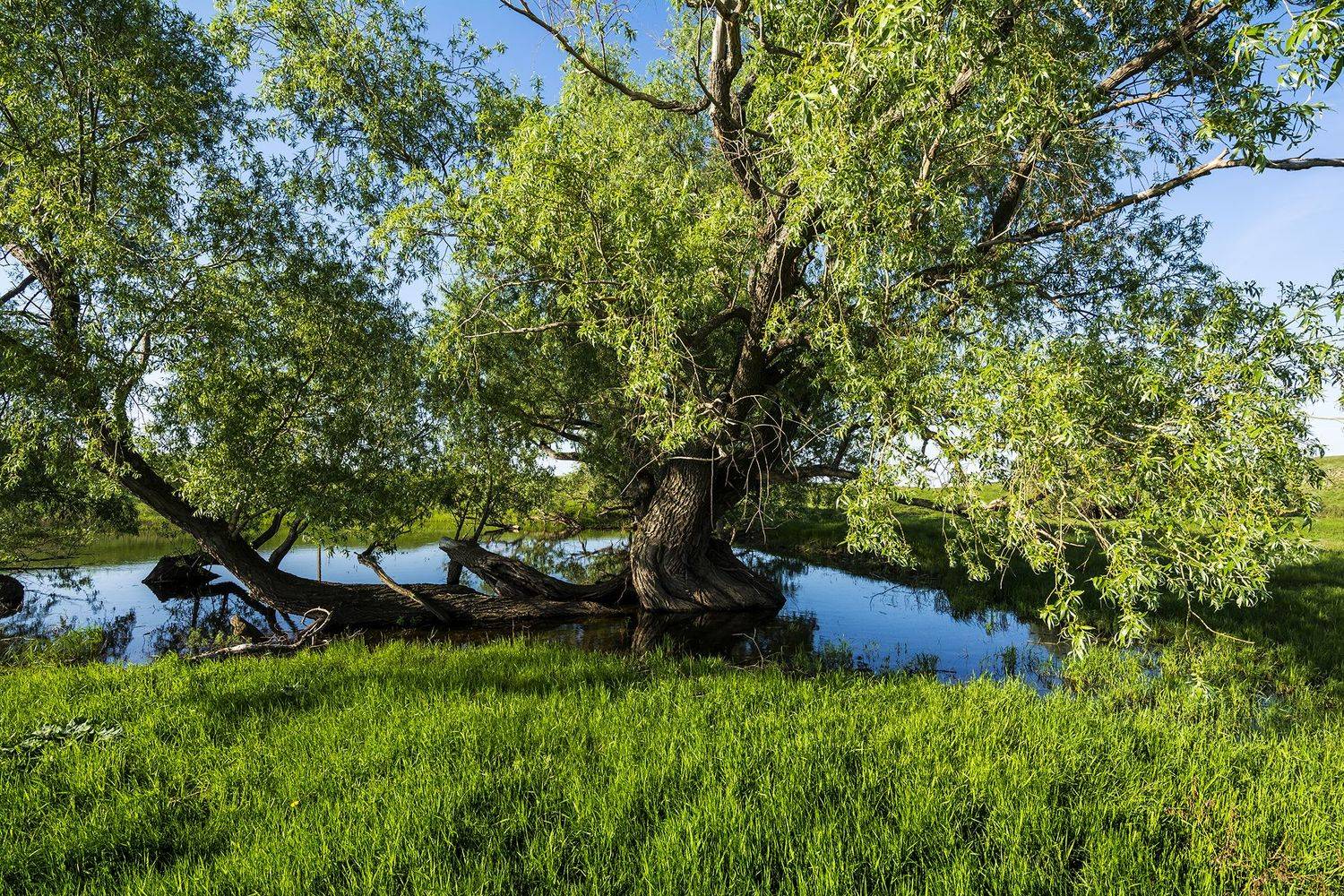 , Андрей Шарапов