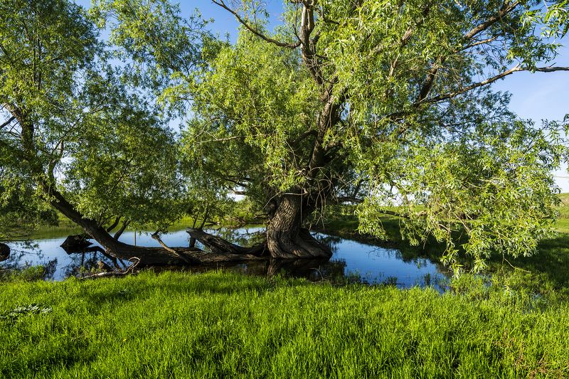 ******* фото превью