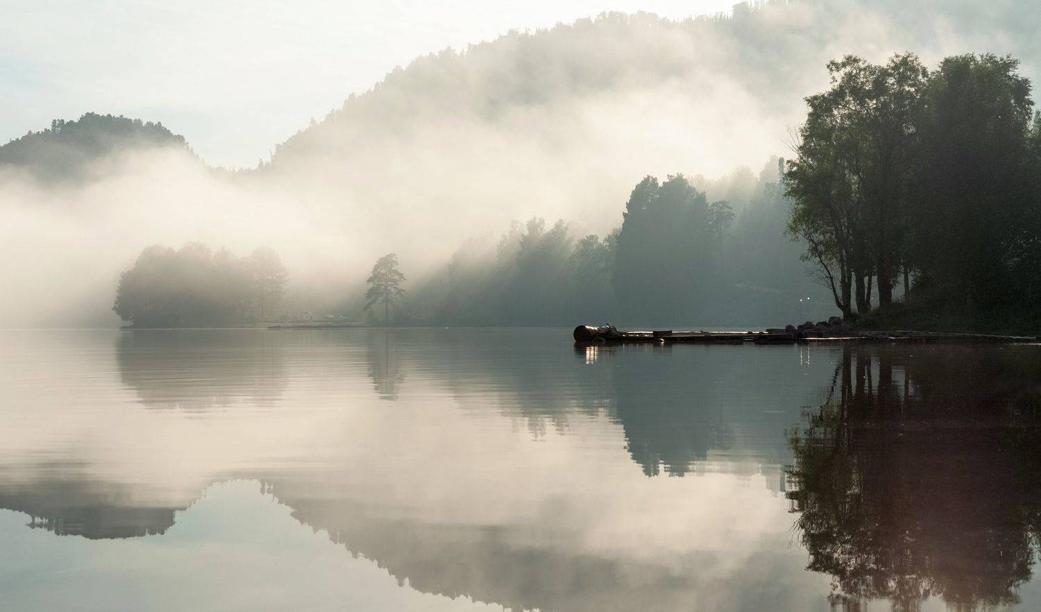 алтай, телецкое озеро, Марина Фомина