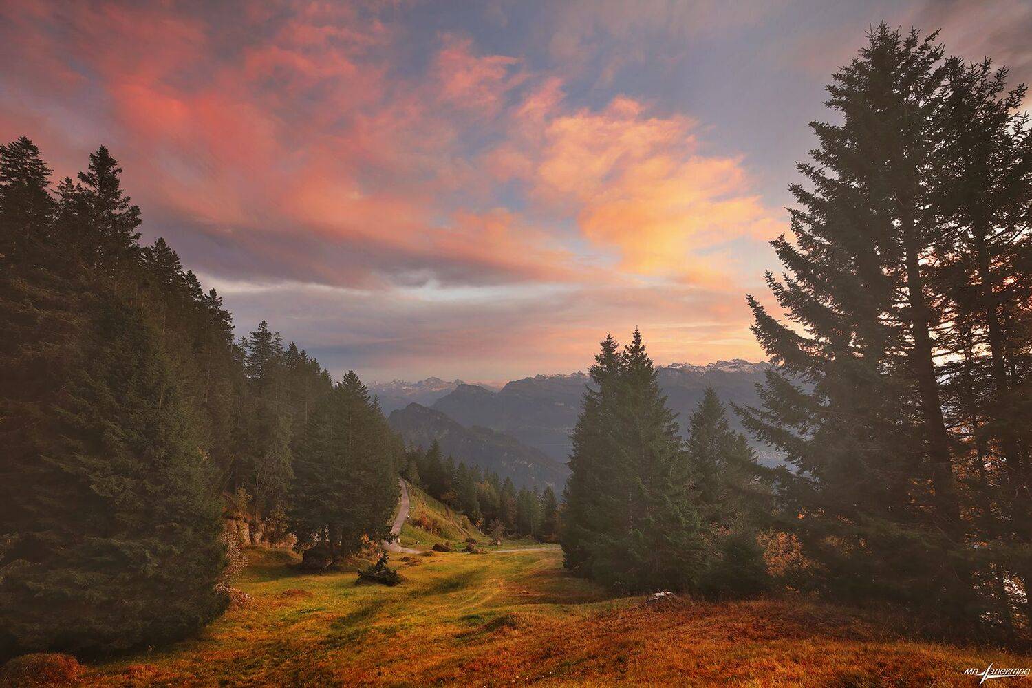 swiss, Матвеев Николай