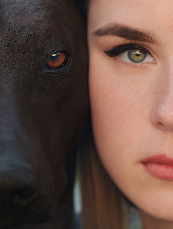 фото превью