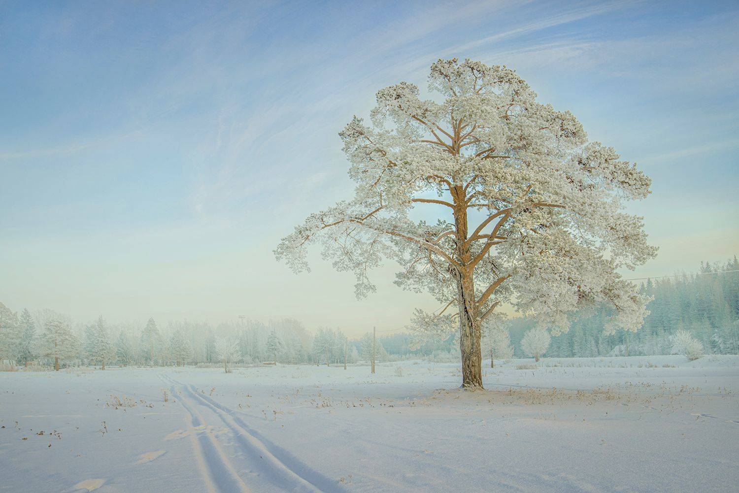 , Воинков Виктор