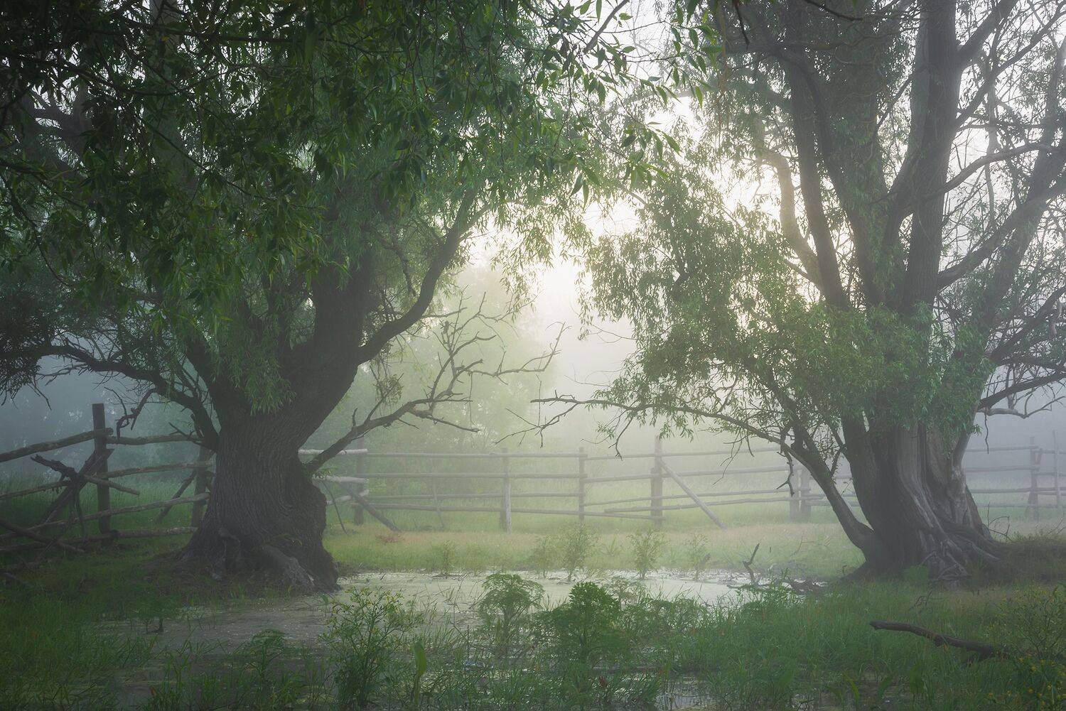 , Захаров Дмитрий