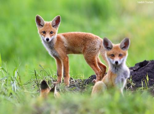 Интересно, а ты кто?