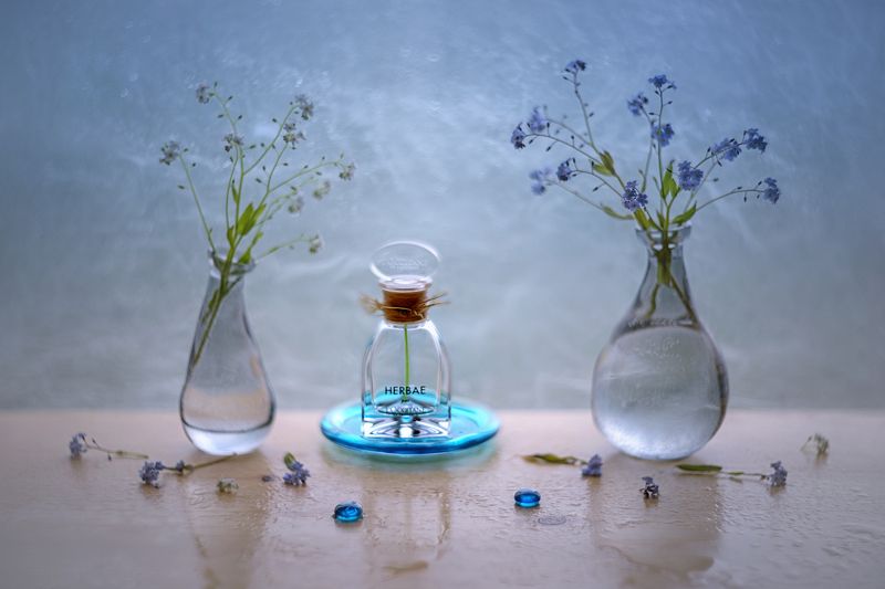 Аромат незабудок фото превью