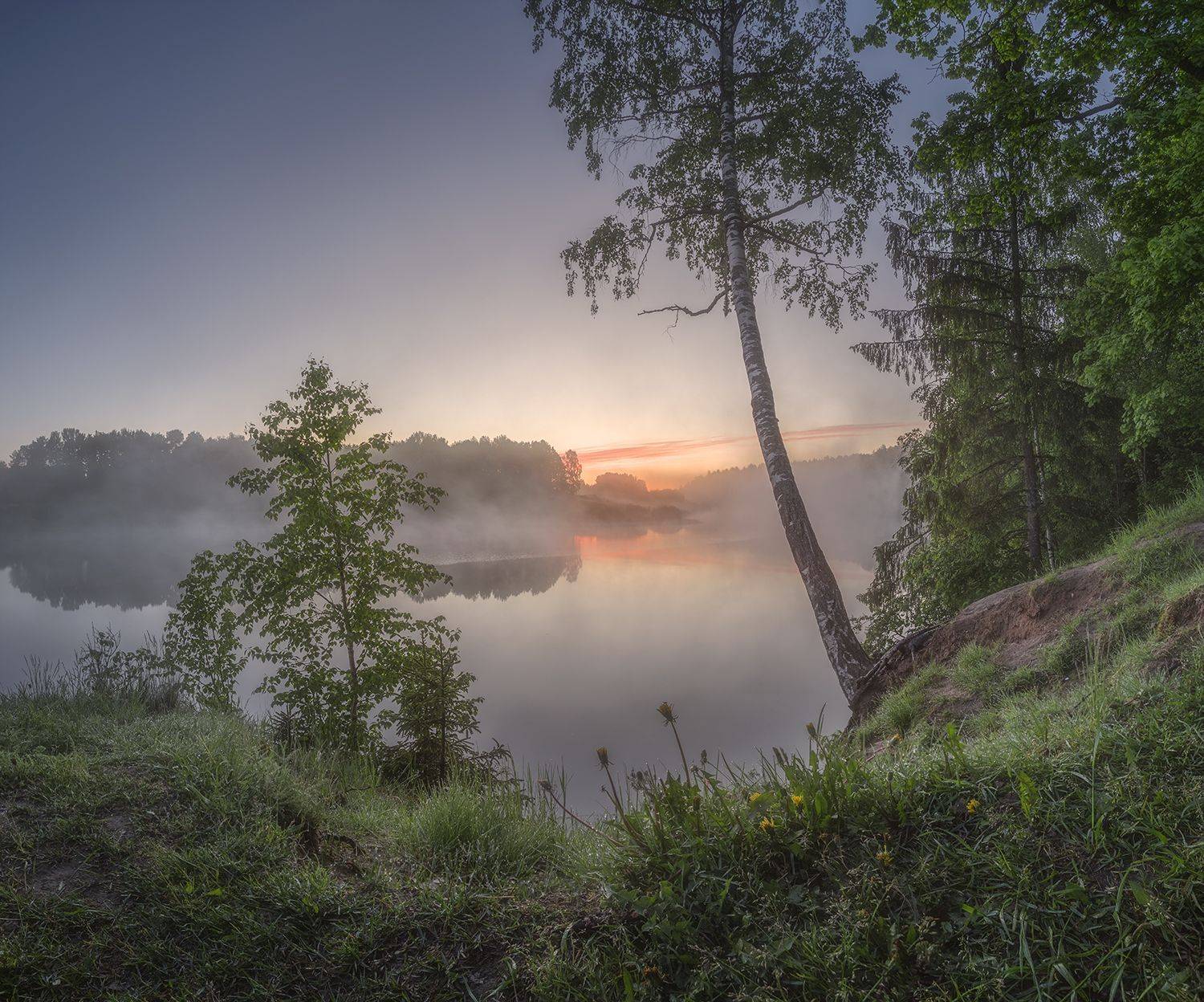 , Николай Андреев
