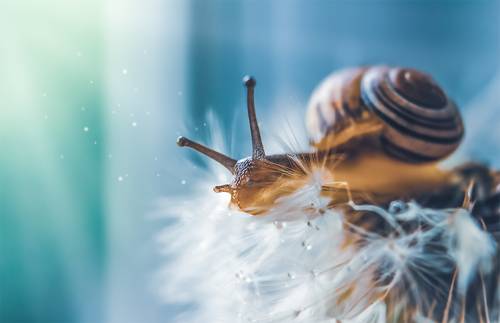 Только вперёд