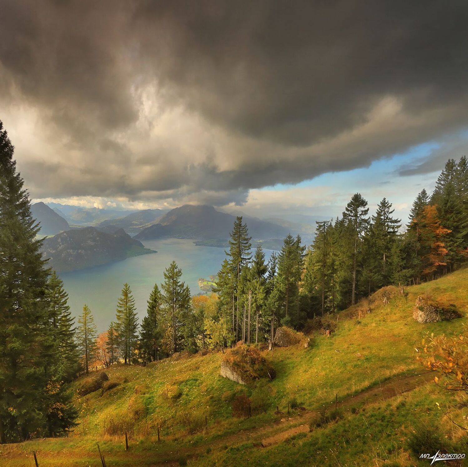 swiss, Матвеев Николай