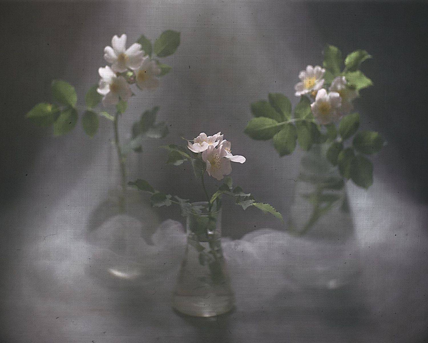 , Татьяна Аверина