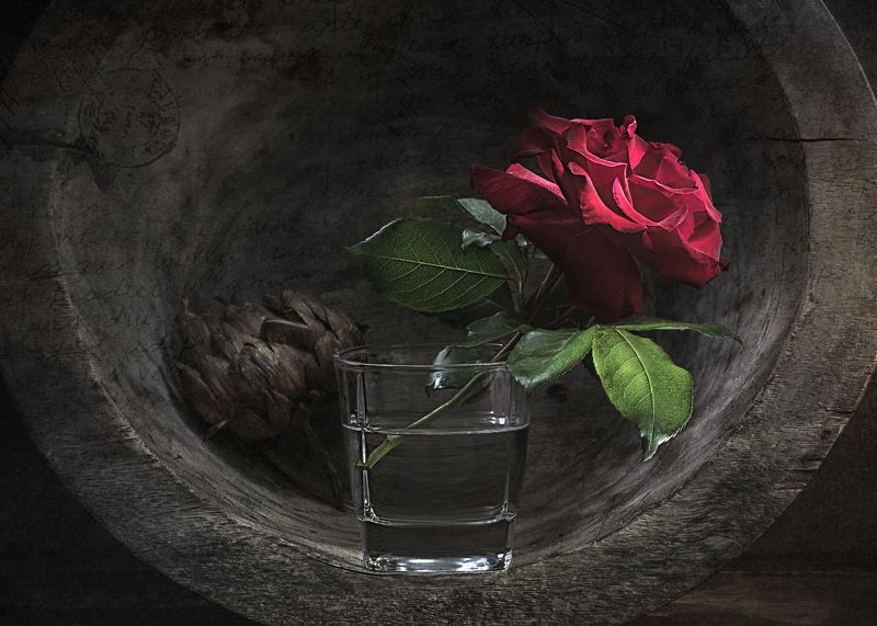 натюрморт,  деревенский, дерево, тарелка,  естественный свет, цветы, сухой артишок, роза в стакане Artichoke & Rose / Артишок и Роза фото превью