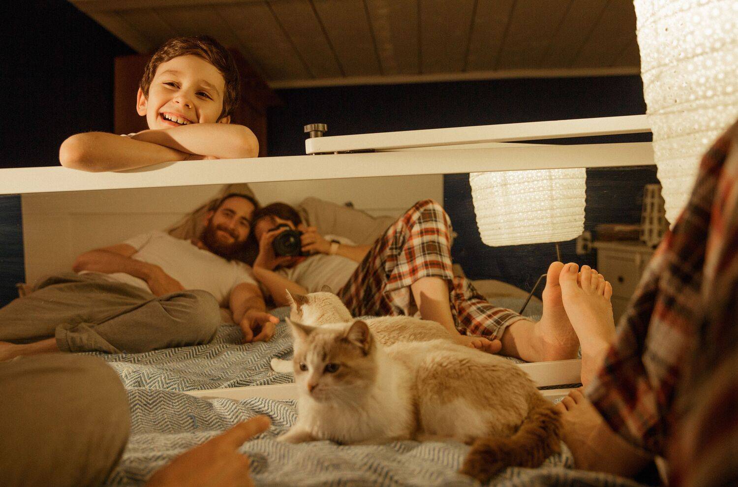 , Алена Бревда