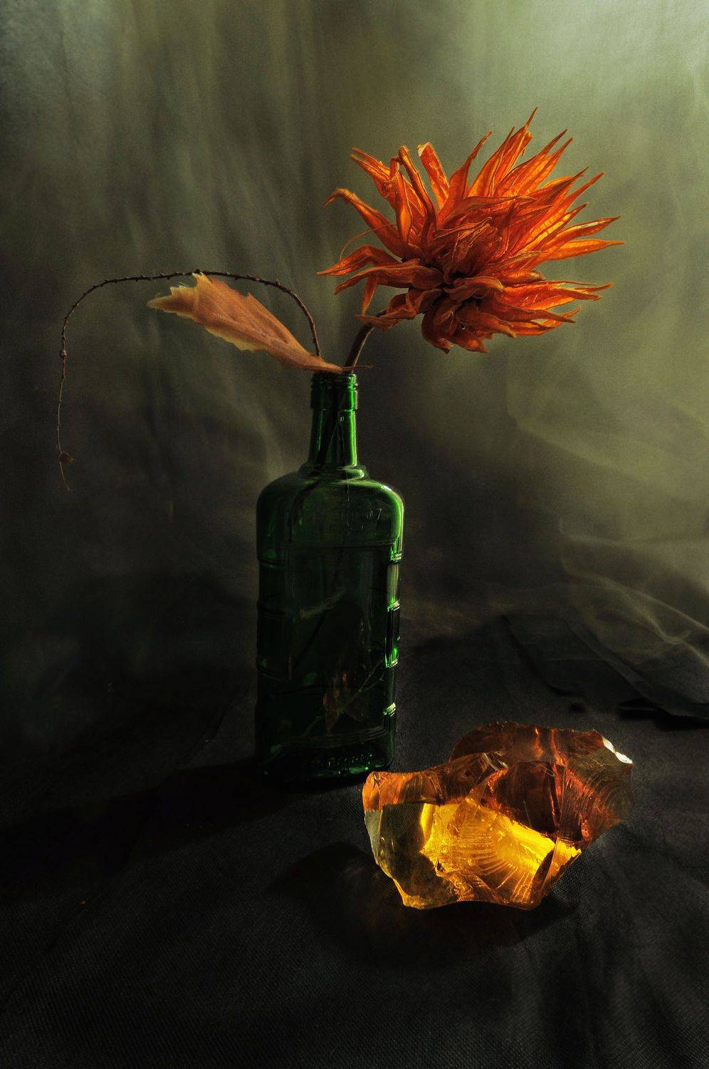 , Ирина Данилова