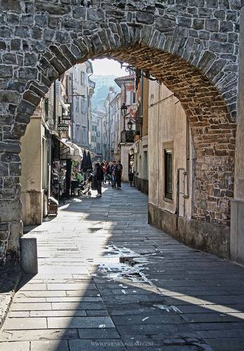 Солнечный день в Муджии