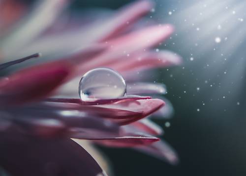 Капелька в лучах света.