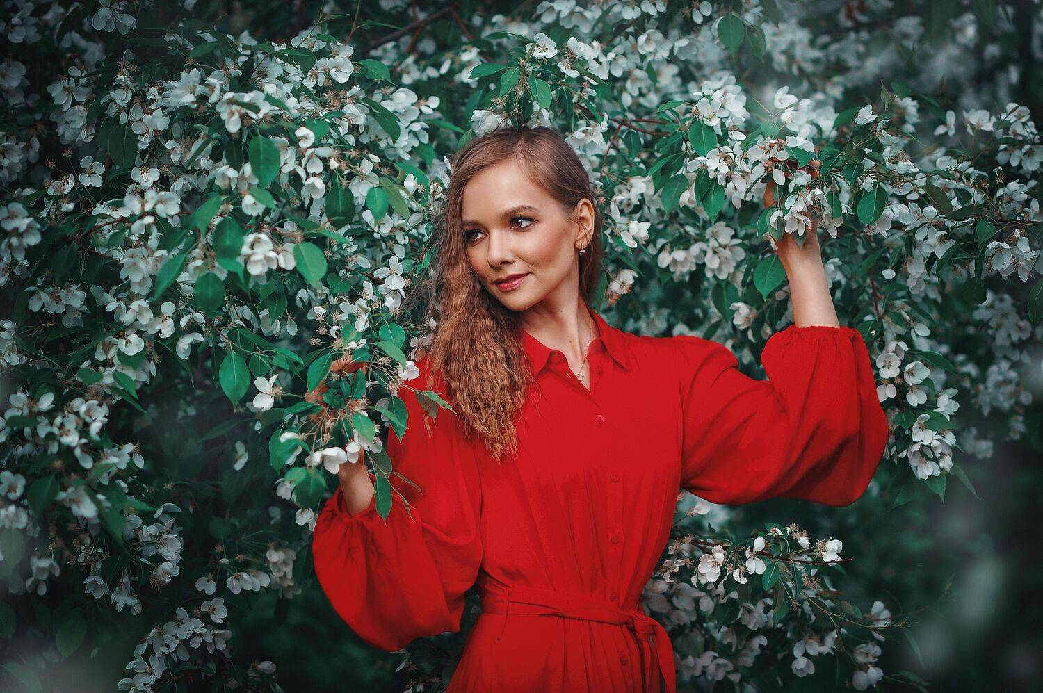 Автор: Лысенкова Ксения , Лысенкова Ксения