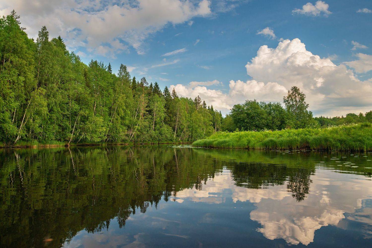 великий двор,вологодчина,кема,север, Роман Горячий