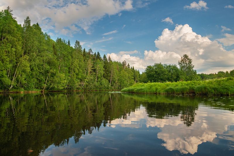 Кемушка. фото превью