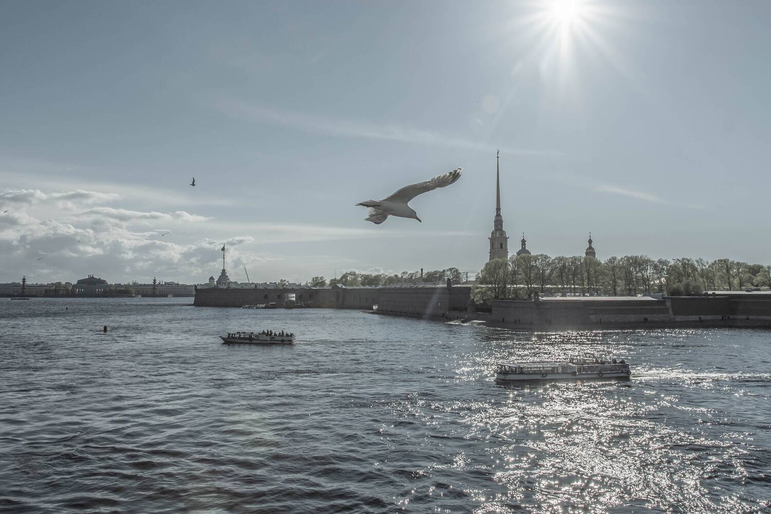 , Сергей Каверин