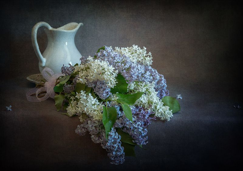 Аромат сирени фото превью