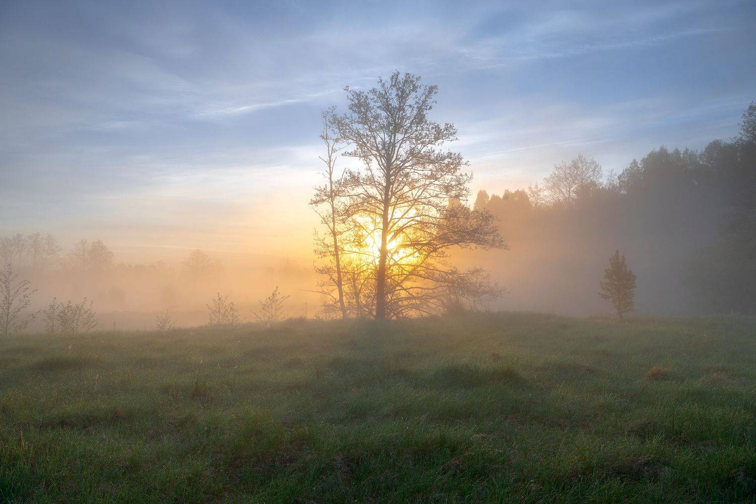 , Руслан Авдевич