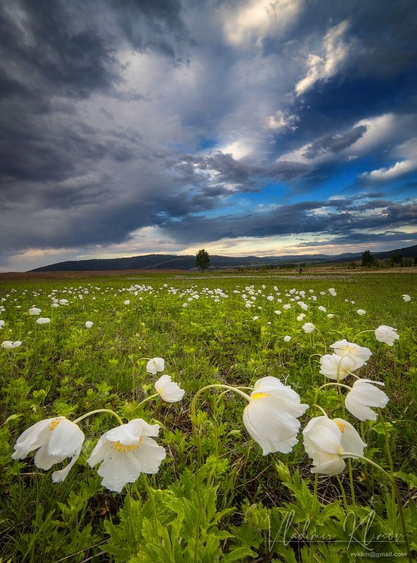 *** фото превью