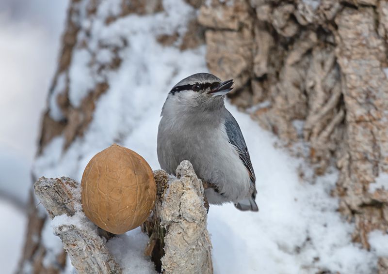 завтрак фото превью
