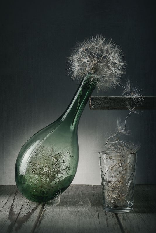 Вино из одуванчиков. фото превью