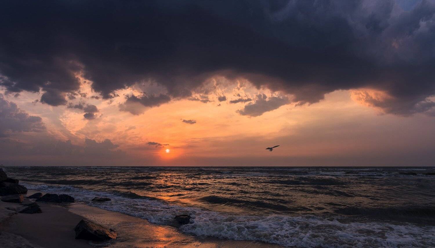 , Игорь Мелекесцев