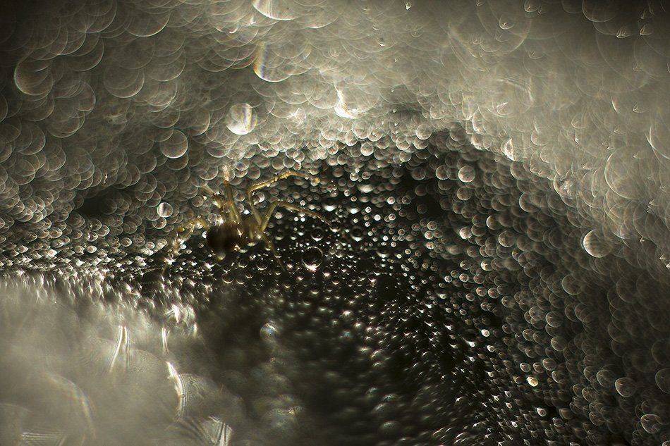 , Иваненко Светлана