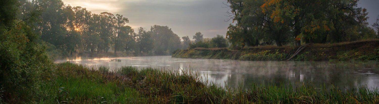 , Владимир Ляпин