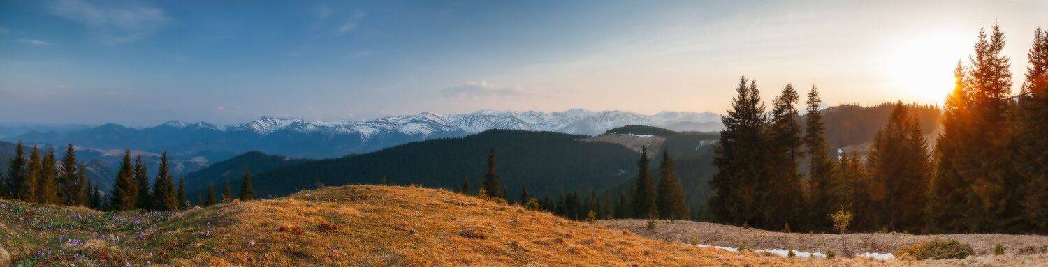 , Ярослав Тюрменко (Jaremi)