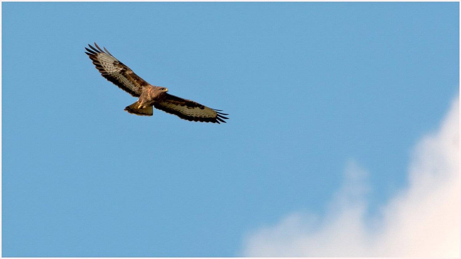 , Валерий Субачев