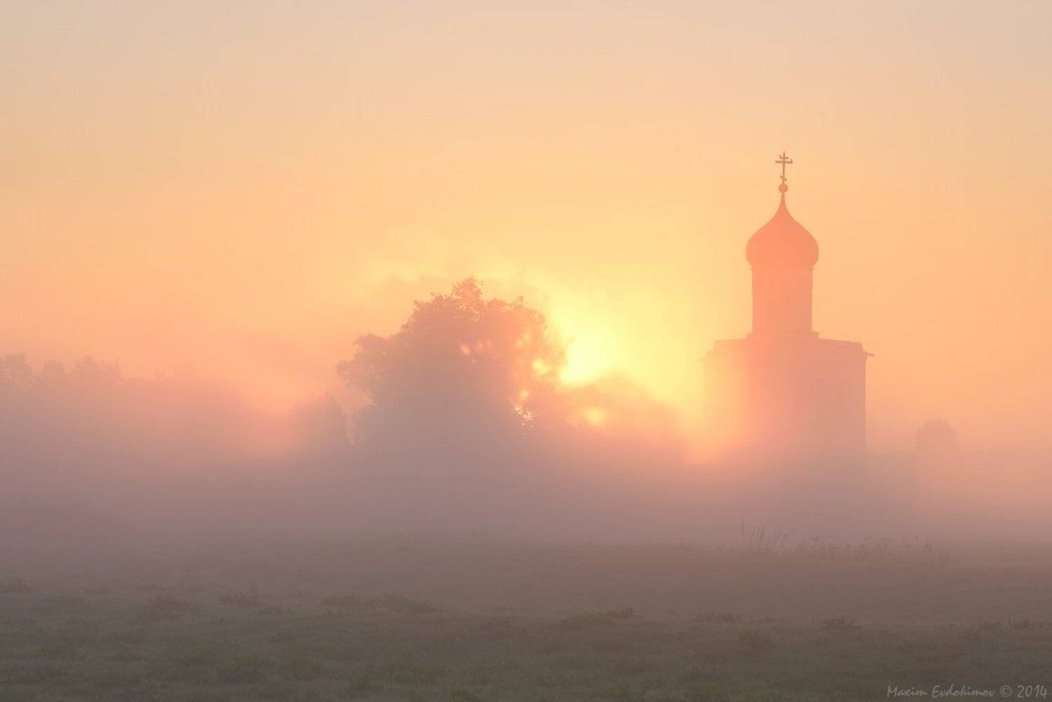 , Максим Евдокимов