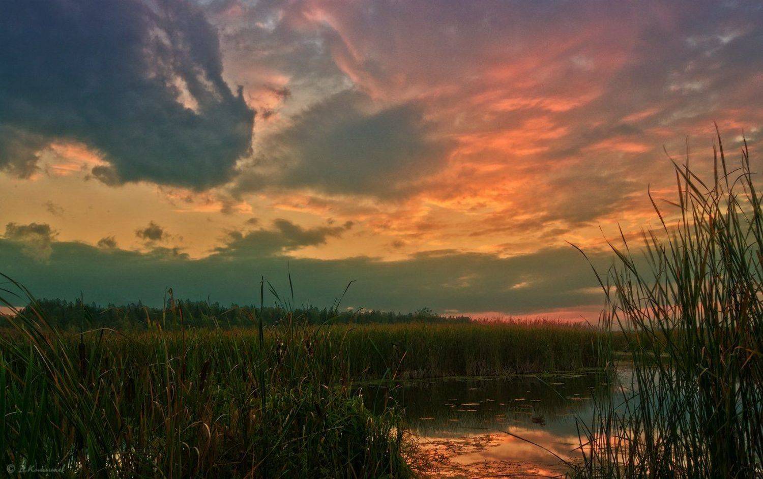 , Владимир Комышев