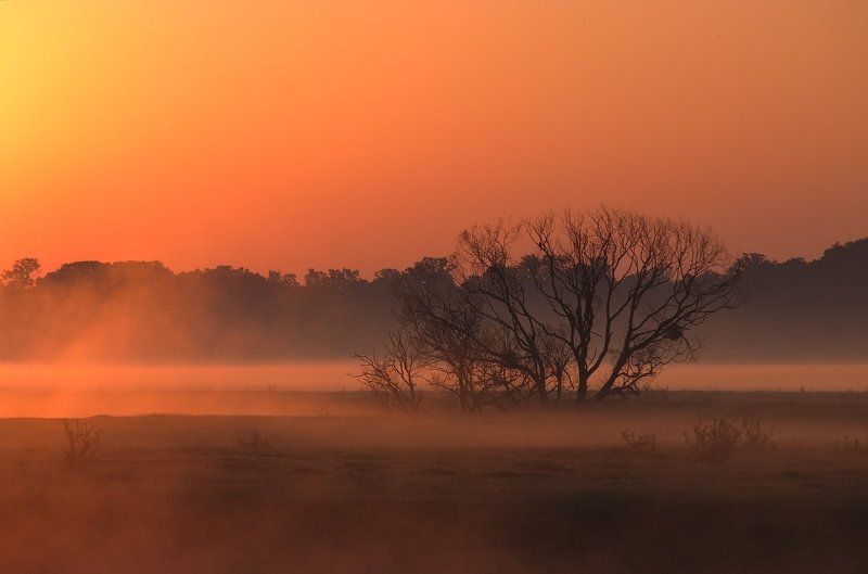 ** ** ** фото превью