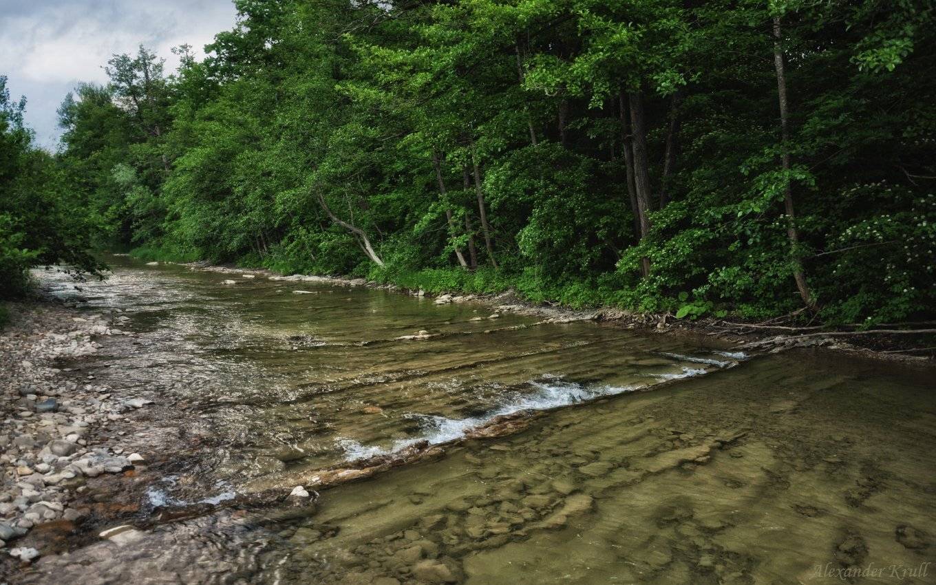 абин, Александр Круль