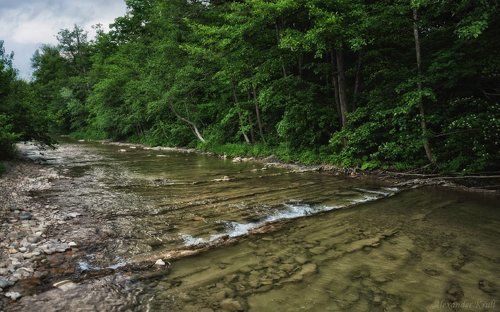 На лесном перекате...