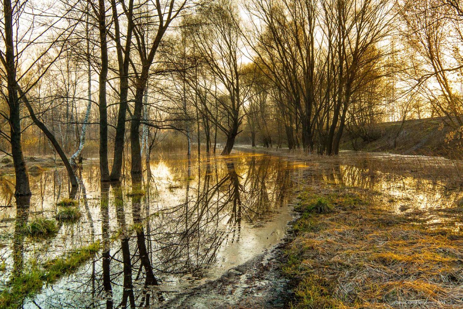 , Сергей Голубенко