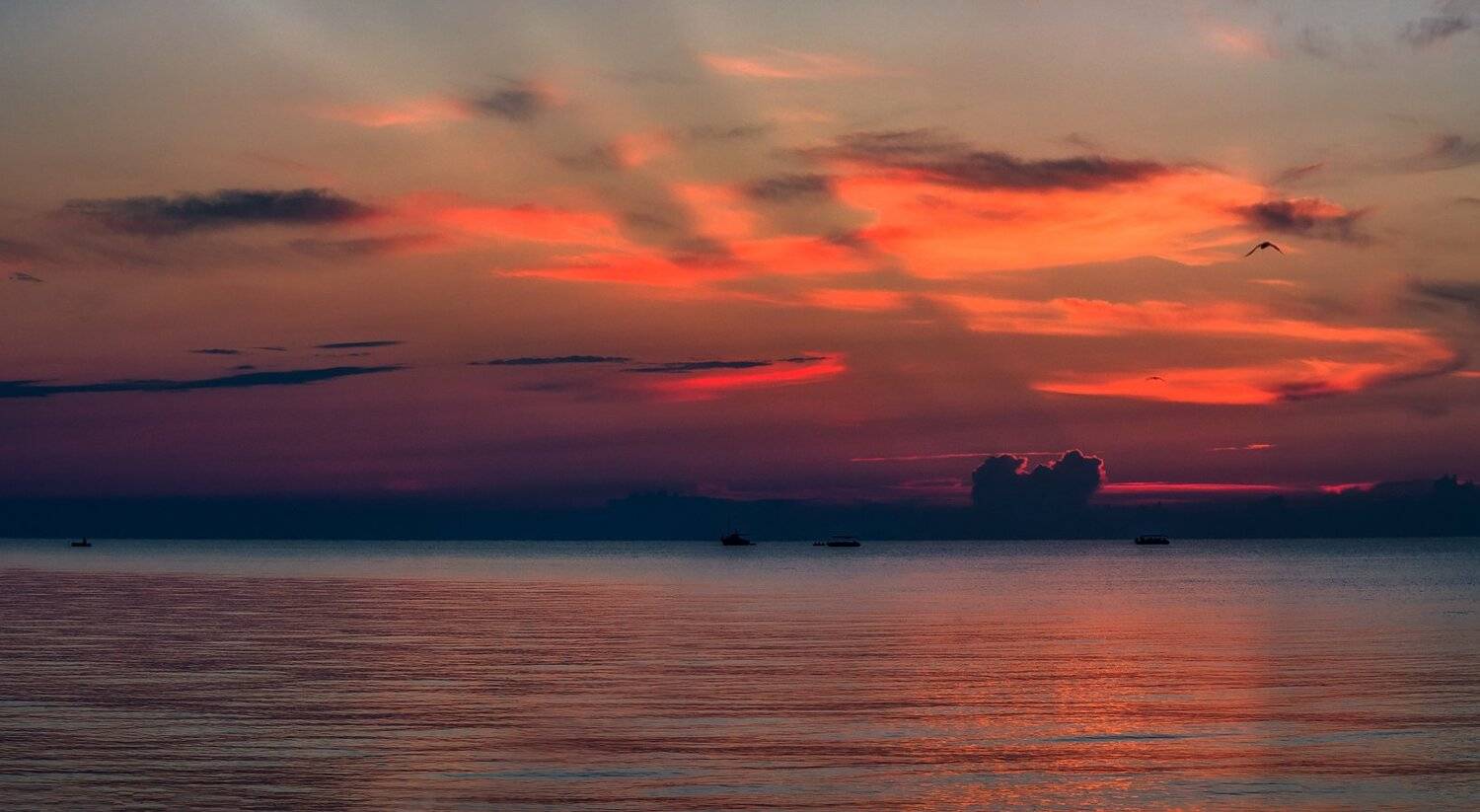 , Игорь Мелекесцев