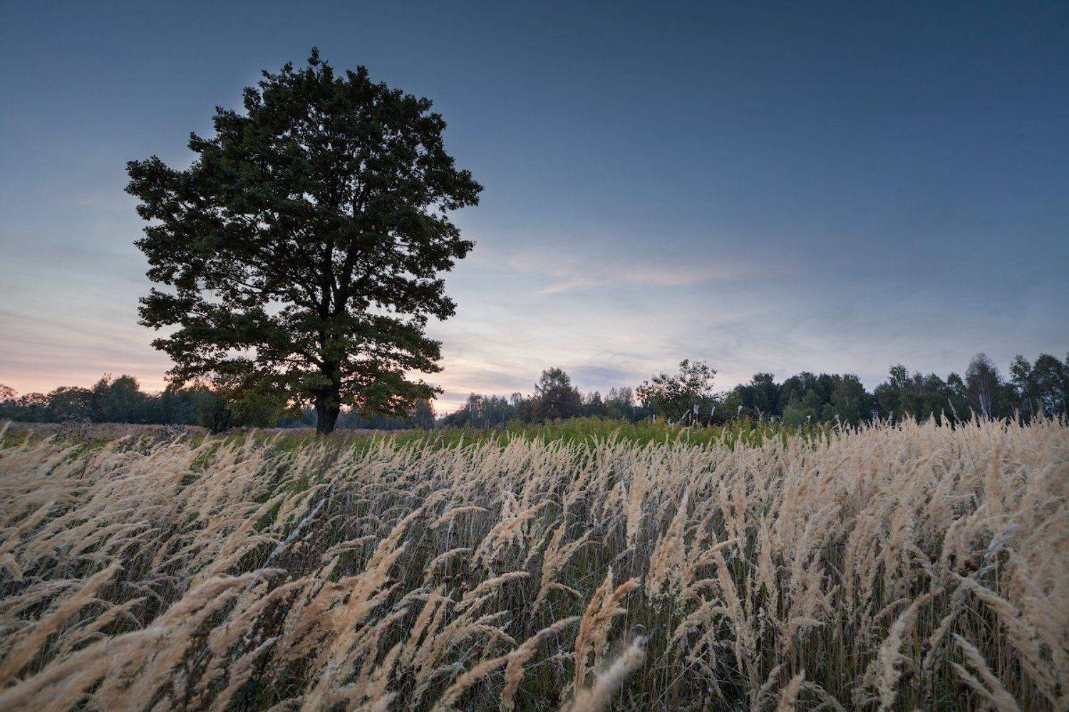 , Игорь Иванов