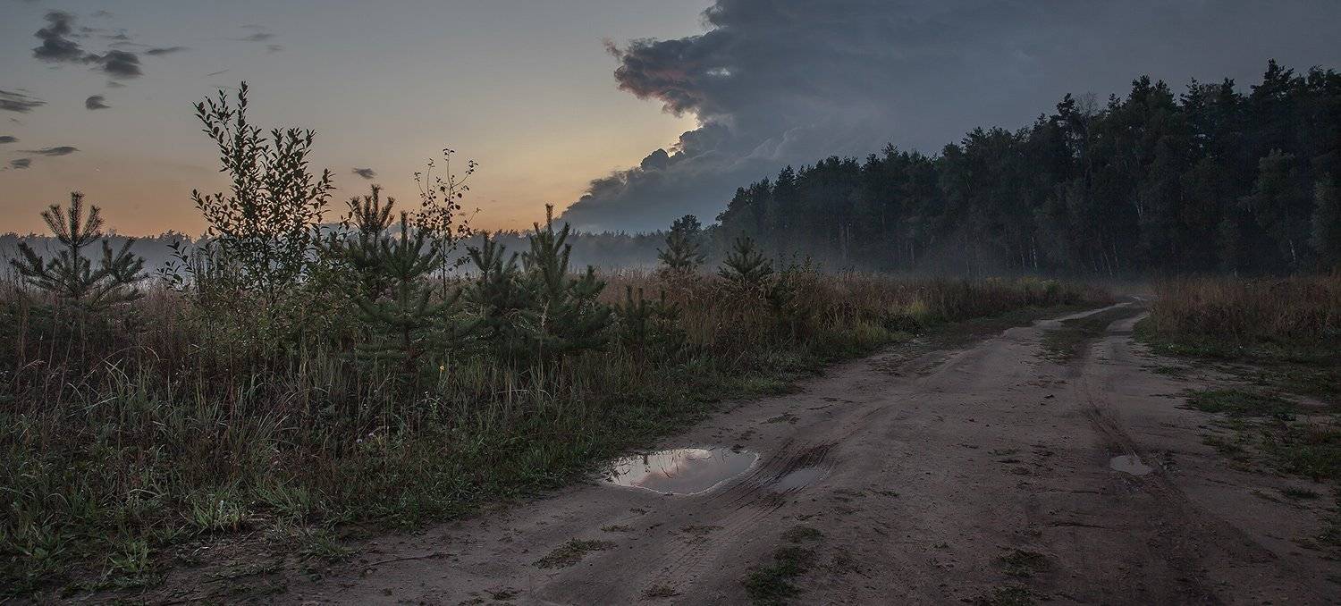 купавна., подмосковье, Андрей Леонидович
